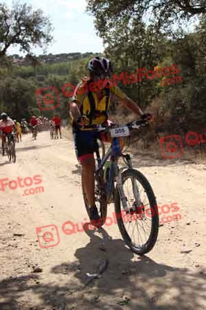 MARIA PAZ LOZANO PORTILLO Talajara 2015 07233