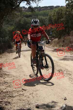 MERCEDES PEREZ RAMIREZ Talajara 2015 07330