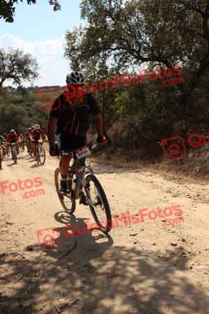 PEDRO GALLARDO DIAGO Talajara 2015 07440