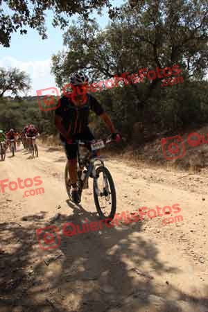 PEDRO GALLARDO DIAGO Talajara 2015 07441
