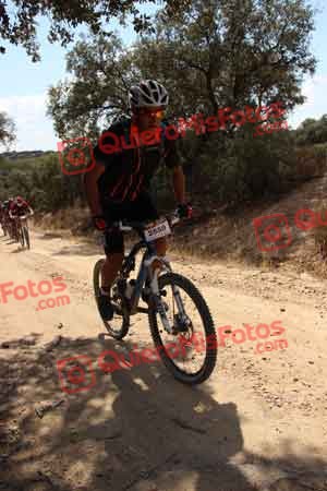 PEDRO GALLARDO DIAGO Talajara 2015 07442