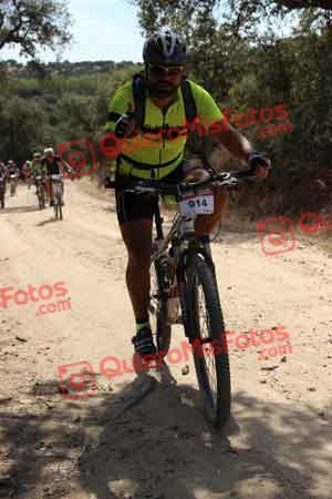 JOSE LUIS PALOMAR PEREZ Talajara 2015 07750