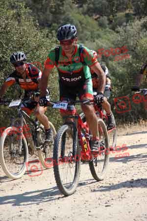 JOSE LUIS MARTIN NEVADO Talajara 2015 08116