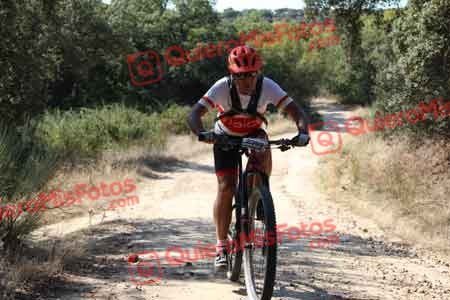 GUILLERMO ROTHE GOMEZ Talajara 2015 09779