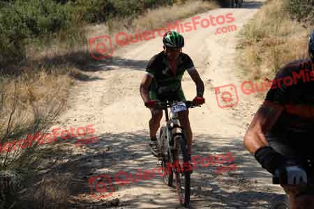 Talajara 2015 09806