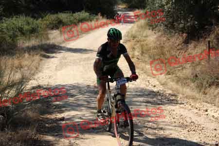 Talajara 2015 09807