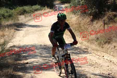 Talajara 2015 09808