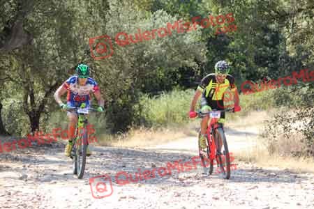 ENRIQUE SEVILLA DE LA FUENTE Talajara 2015 09990