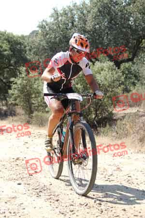 JOSE LUIS MONTERO SALAMANCA Talajara 2015 10610