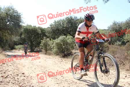 MARIANO HERNANDEZ BARRERA Talajara 2015 11432