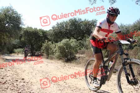 MARIANO HERNANDEZ BARRERA Talajara 2015 11433