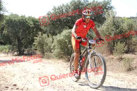 ROBERTO MARTIN ESTEBAN Talajara 2015 11548