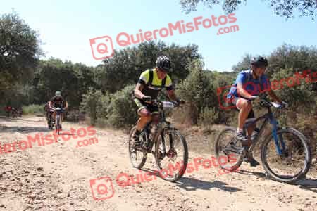 JAVIER VERGES ROGER Talajara 2015 12294