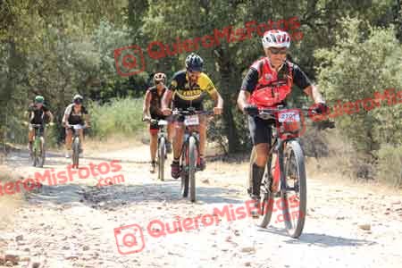 MIGUEL HERNANDEZ ESTERAS Talajara 2015 12504