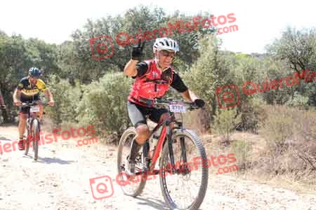 MIGUEL HERNANDEZ ESTERAS Talajara 2015 12508