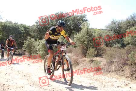 MIGUEL HERNANDEZ ESTERAS Talajara 2015 12512