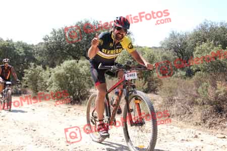 MIGUEL HERNANDEZ ESTERAS Talajara 2015 12513