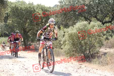 MIGUEL SERRANO SOLIS Talajara 2015 12844