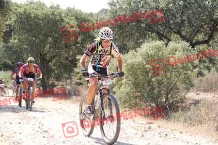 MIGUEL SERRANO SOLIS Talajara 2015 12845