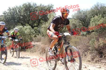 GUILLERMO MARTIN BUSTAMANTE Talajara 2015 12966