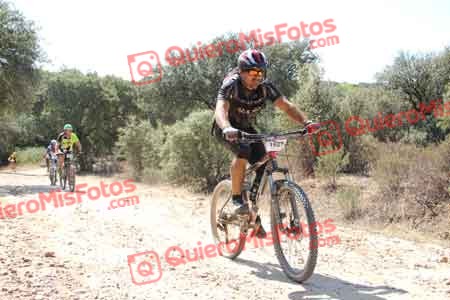 MARCOS HERRERO FERNANDEZ Talajara 2015 13266