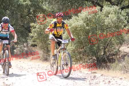JAIME CORTES CORONADO Talajara 2015 13751