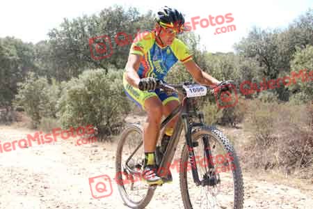 SERGIO GARCIA FUILLERAT Talajara 2015 13805