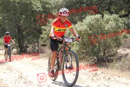 JAVIER PALOU DIAZ Talajara 2015 13993