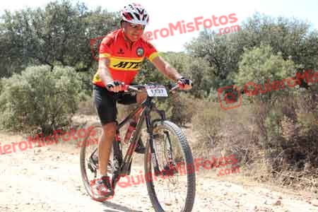 JAVIER PALOU DIAZ Talajara 2015 13995