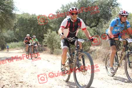 OSCAR OVEJERO REJON Talajara 2015 14205