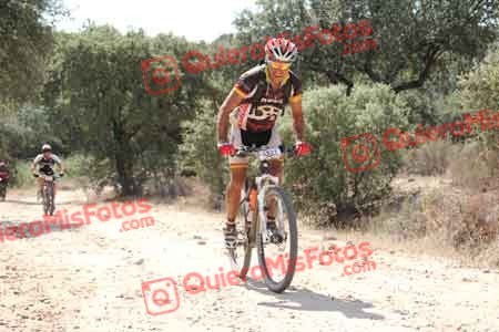 JESUS LOBO TORRE Talajara 2015 14238