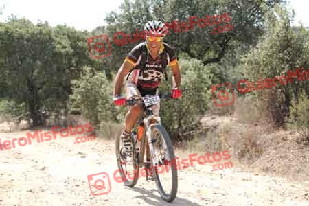 JESUS LOBO TORRE Talajara 2015 14239