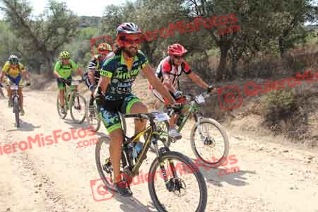 JOSE IGNACIO UBEDA MARTIN Talajara 2015 14457