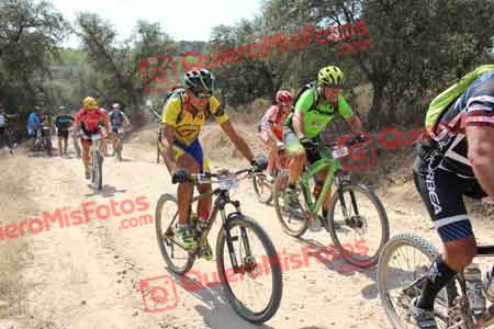 JUAN LUIS MARTIN FLORIDO Talajara 2015 14461