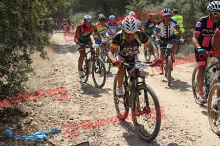 MIGUEL ANGEL ADAN DORADO Talajara 2015 14560