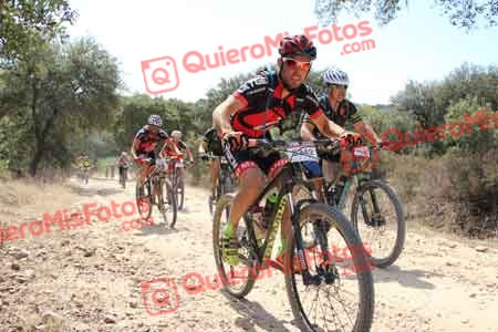 FRANCISCO MADERO MARCHANTE Talajara 2015 14991