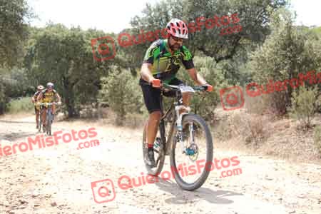 MANUEL JIMENEZ BELVIS Talajara 2015 15113