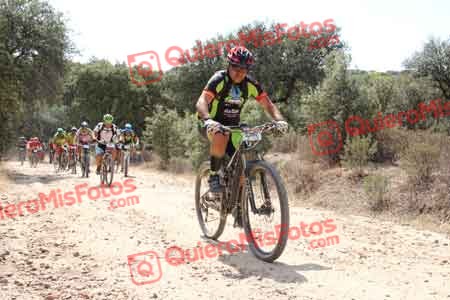 FRANCISCO PRIETO MARTIN Talajara 2015 15229