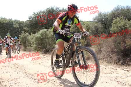 FRANCISCO PRIETO MARTIN Talajara 2015 15230