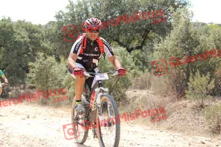 JAVIER POLO SAN JOSE Talajara 2015 15501