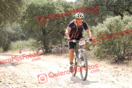 PEDRO GALLARDO DIAGO Talajara 2015 15745