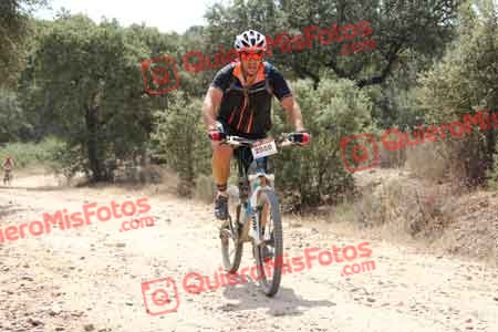 PEDRO GALLARDO DIAGO Talajara 2015 15746