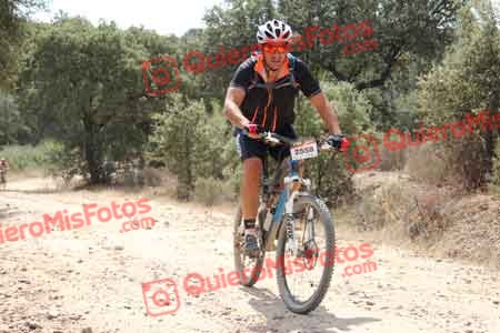 PEDRO GALLARDO DIAGO Talajara 2015 15747
