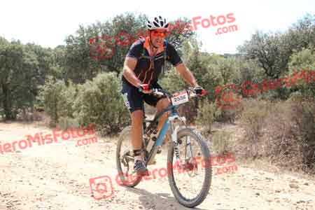 PEDRO GALLARDO DIAGO Talajara 2015 15748