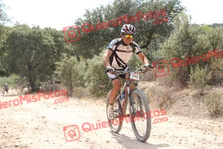 PABLO ARCOS SALVADOR Talajara 2015 15993