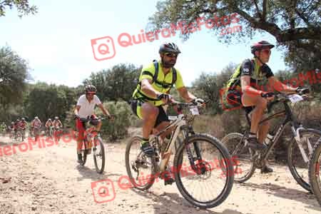 JOSE CASTELLON BUENO Talajara 2015 16031