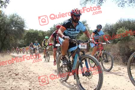 JESUS SAELICES NOVILLO Talajara 2015 16131