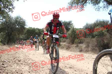 JESUS SAELICES NOVILLO Talajara 2015 16133