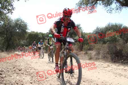 JESUS SAELICES NOVILLO Talajara 2015 16134