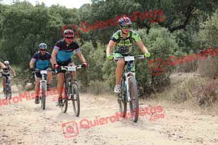 JUAN MARCOS TARAZONA BLASCO Talajara 2015 16219